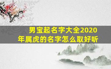 男宝起名字大全2020年属虎的名字怎么取好听