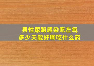 男性尿路感染吃左氧多少天能好啊吃什么药