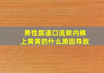 男性尿道口流脓内裤上黄黄的什么原因导致