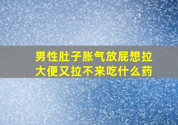 男性肚子胀气放屁想拉大便又拉不来吃什么药