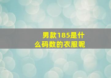 男款185是什么码数的衣服呢