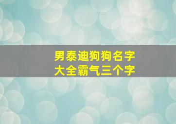 男泰迪狗狗名字大全霸气三个字