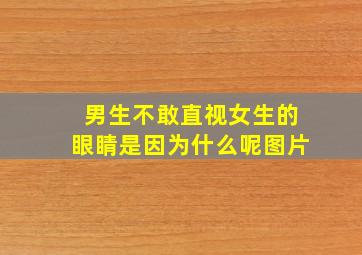 男生不敢直视女生的眼睛是因为什么呢图片