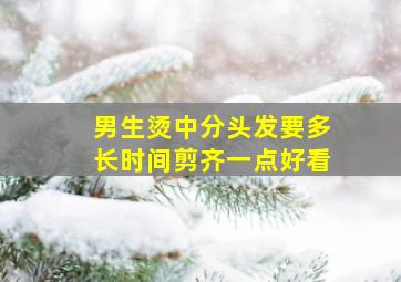 男生烫中分头发要多长时间剪齐一点好看