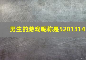 男生的游戏昵称是5201314