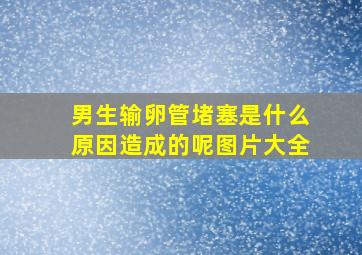 男生输卵管堵塞是什么原因造成的呢图片大全