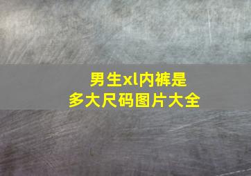 男生xl内裤是多大尺码图片大全