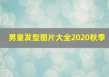 男童发型图片大全2020秋季