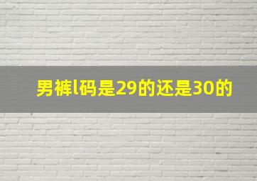 男裤l码是29的还是30的