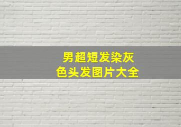 男超短发染灰色头发图片大全