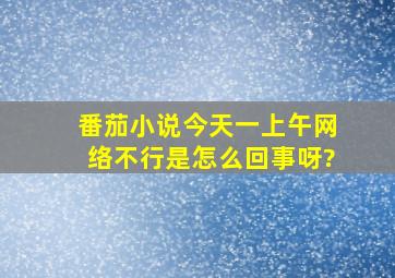 番茄小说今天一上午网络不行是怎么回事呀?