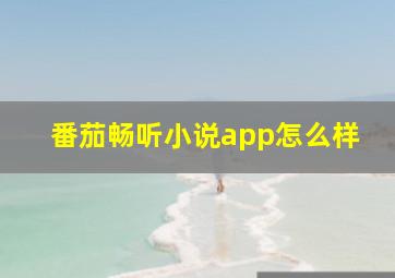 番茄畅听小说app怎么样