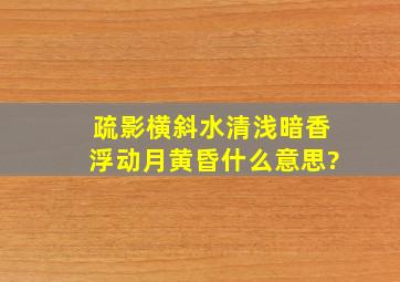 疏影横斜水清浅暗香浮动月黄昏什么意思?