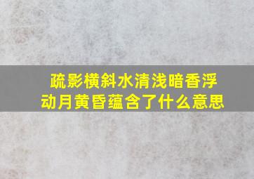 疏影横斜水清浅暗香浮动月黄昏蕴含了什么意思