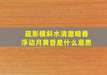 疏影横斜水清澈暗香浮动月黄昏是什么意思