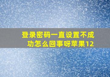 登录密码一直设置不成功怎么回事呀苹果12