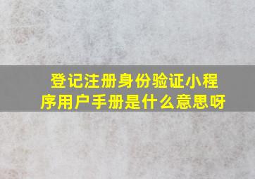 登记注册身份验证小程序用户手册是什么意思呀