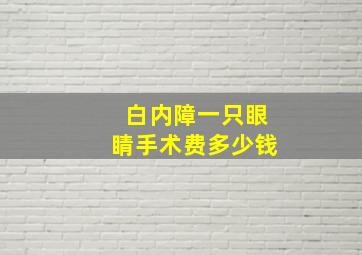 白内障一只眼睛手术费多少钱