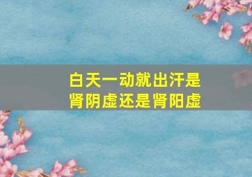 白天一动就出汗是肾阴虚还是肾阳虚