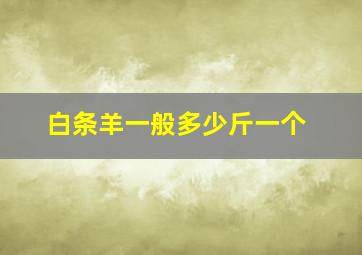 白条羊一般多少斤一个