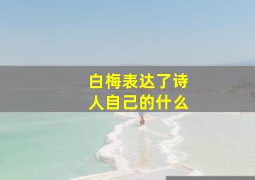 白梅表达了诗人自己的什么