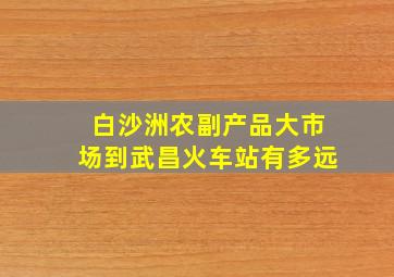 白沙洲农副产品大市场到武昌火车站有多远