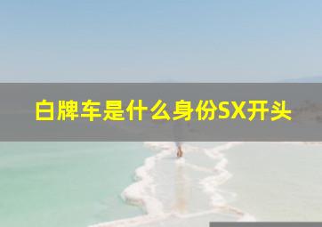 白牌车是什么身份SX开头