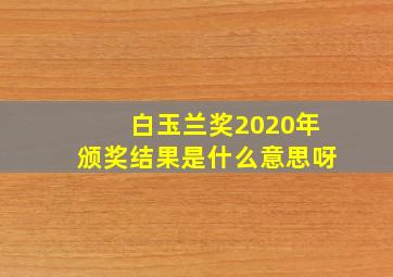 白玉兰奖2020年颁奖结果是什么意思呀