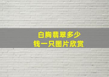 白胸翡翠多少钱一只图片欣赏