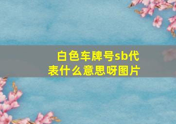 白色车牌号sb代表什么意思呀图片