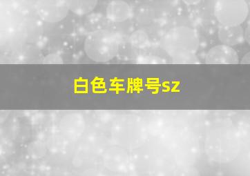 白色车牌号sz