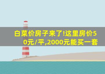 白菜价房子来了!这里房价50元/平,2000元能买一套