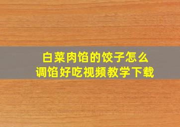 白菜肉馅的饺子怎么调馅好吃视频教学下载