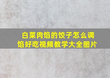 白菜肉馅的饺子怎么调馅好吃视频教学大全图片