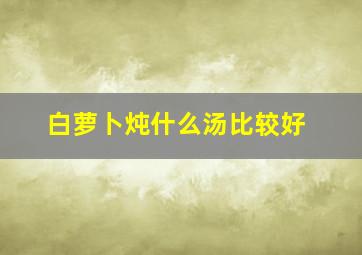 白萝卜炖什么汤比较好