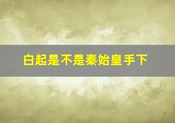 白起是不是秦始皇手下