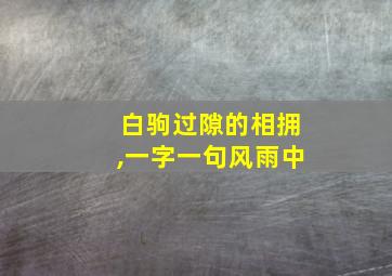 白驹过隙的相拥,一字一句风雨中