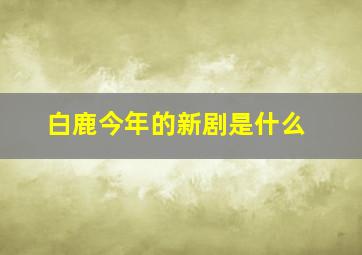 白鹿今年的新剧是什么