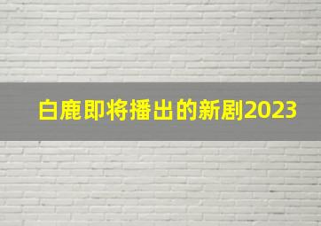 白鹿即将播出的新剧2023