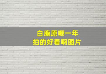 白鹿原哪一年拍的好看啊图片