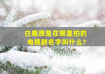 白鹿原是在哪里拍的电视剧名字叫什么?