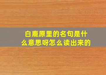 白鹿原里的名句是什么意思呀怎么读出来的