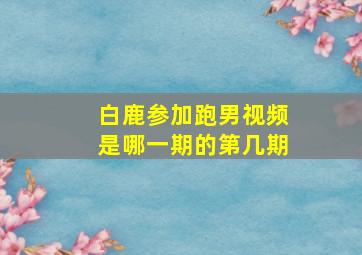 白鹿参加跑男视频是哪一期的第几期