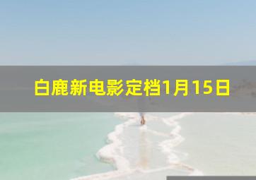 白鹿新电影定档1月15日