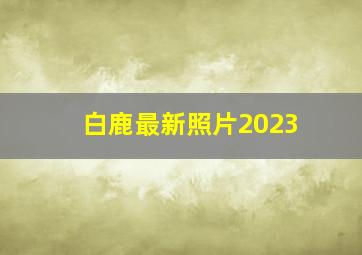 白鹿最新照片2023