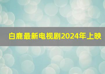 白鹿最新电视剧2024年上映