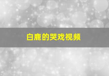 白鹿的哭戏视频