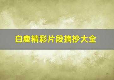 白鹿精彩片段摘抄大全