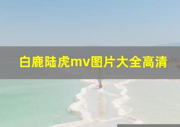 白鹿陆虎mv图片大全高清