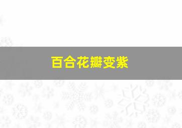 百合花瓣变紫